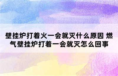 壁挂炉打着火一会就灭什么原因 燃气壁挂炉打着一会就灭怎么回事